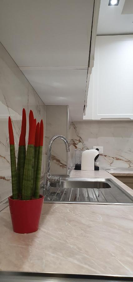 Luxury Drijon Apartments 3J شكودر المظهر الخارجي الصورة